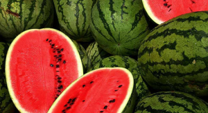 dưa hấu