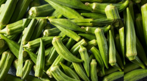 đậu bắp