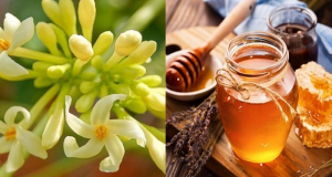 Hoa Đu Đủ Đực Ngâm Mật Ong