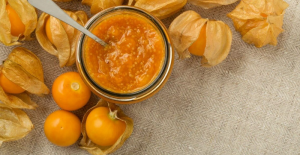 Quả tầm bóp
